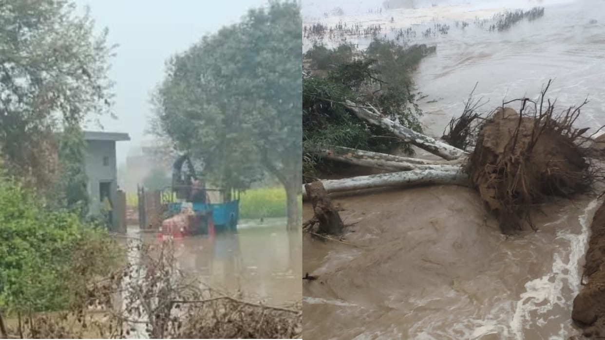 Water filled in Fields due to canal break near village Dhukra in Sirsa