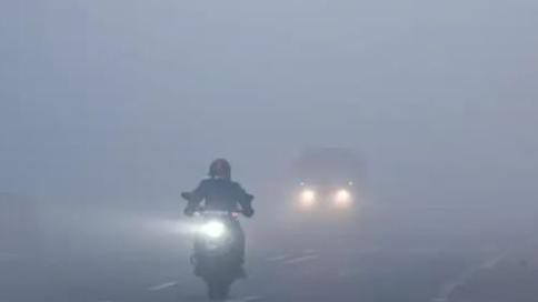 भोपाल में शीतलहर के चलते स्कूलों में छुट्टी के आदेश