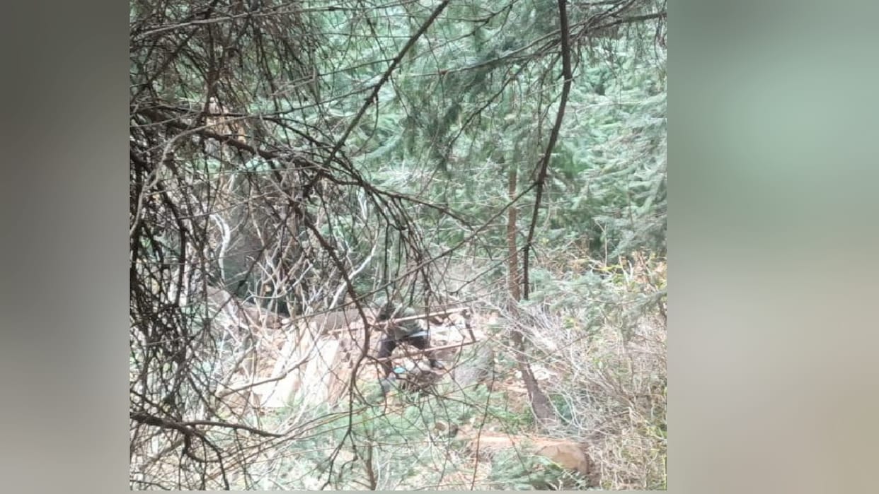 Forest Department caught illegal felling for the first time by drone, FIR registered in Chamba police station