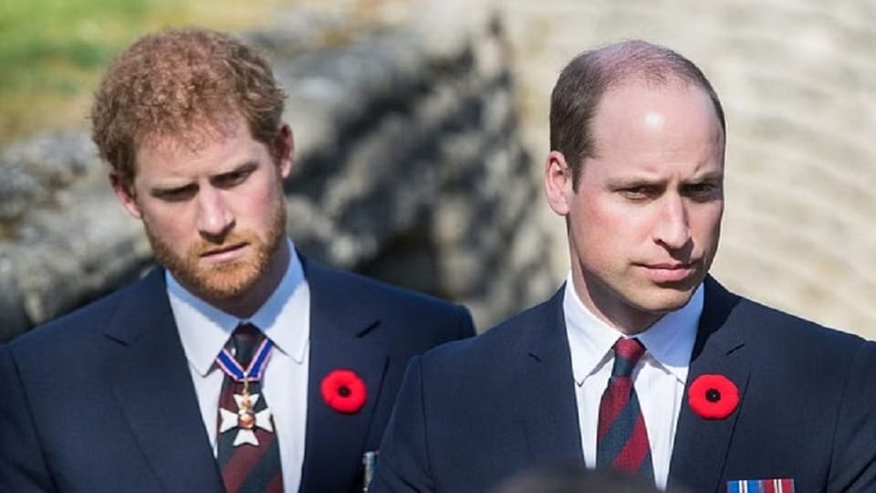 prince harry killed 25 terrorist in afghanistan claim book spare princess diana