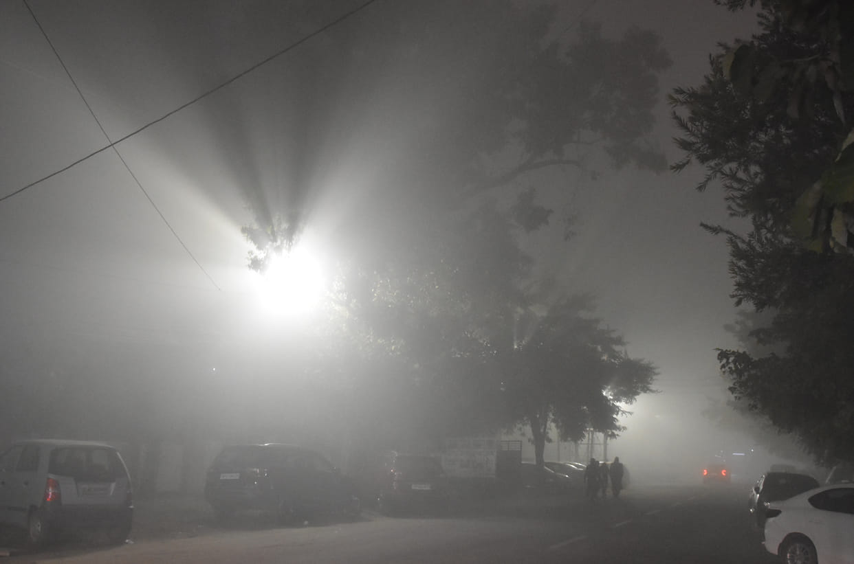 The fog covered the whole day, the cold wave left shivering