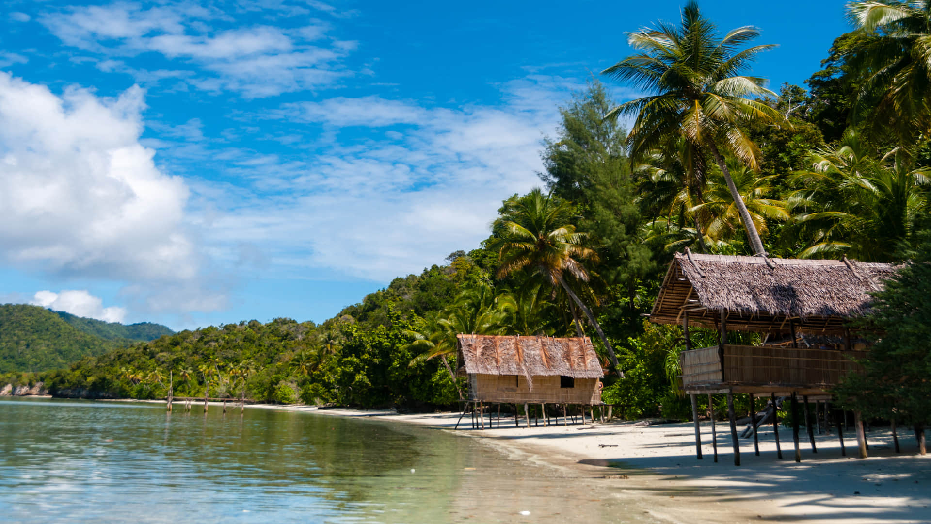 Fore Tribe: tribe eat human brains to resist disease Papua New Guinea strange