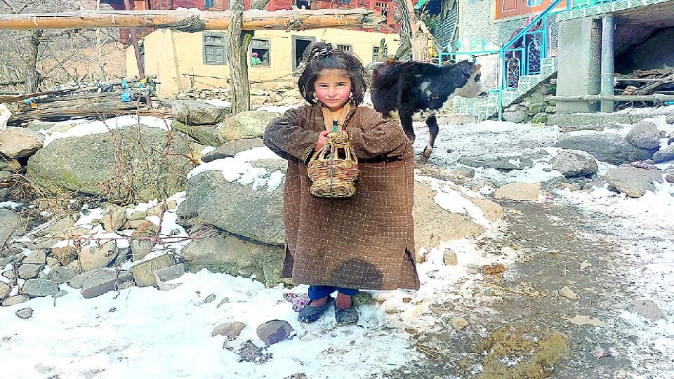 Weather Update: Sunshine in many parts of Jammu Kashmir