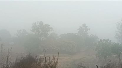 Umaria Weather: शीतलहर की चपेट में MP, 22 जनवरी तक भीषण ठंड से राहत के आसार नहीं, फसलों पर पाला पड़ने का खतरा एमपी में कड़ाके की ठंड