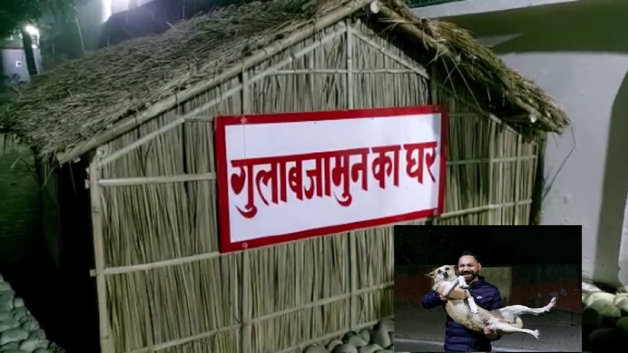 Bijnor: ADM Finance and Revenue Arvind Kumar Singh has built a night shelter for street dogs and see photos