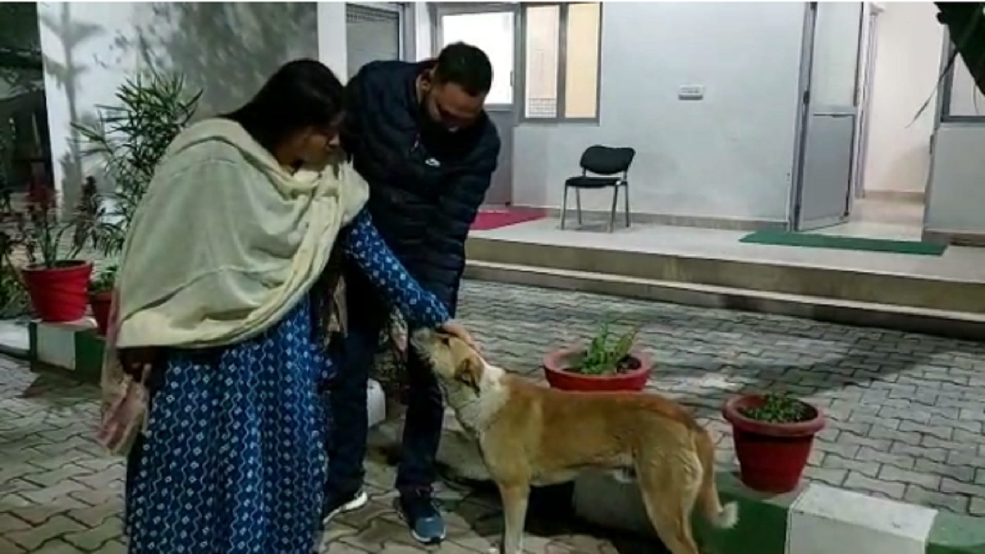 Bijnor: ADM Finance and Revenue Arvind Kumar Singh has built a night shelter for street dogs and see photos