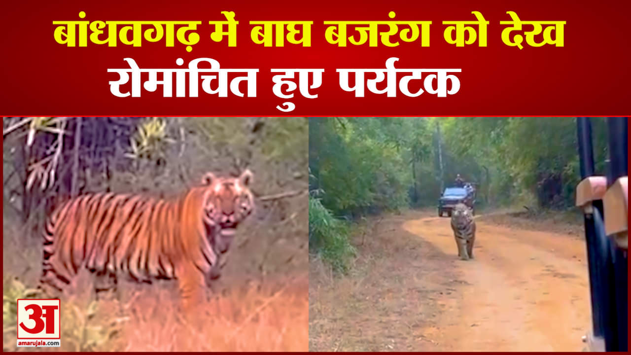 बांधवगढ़ टाइगर रिजर्व