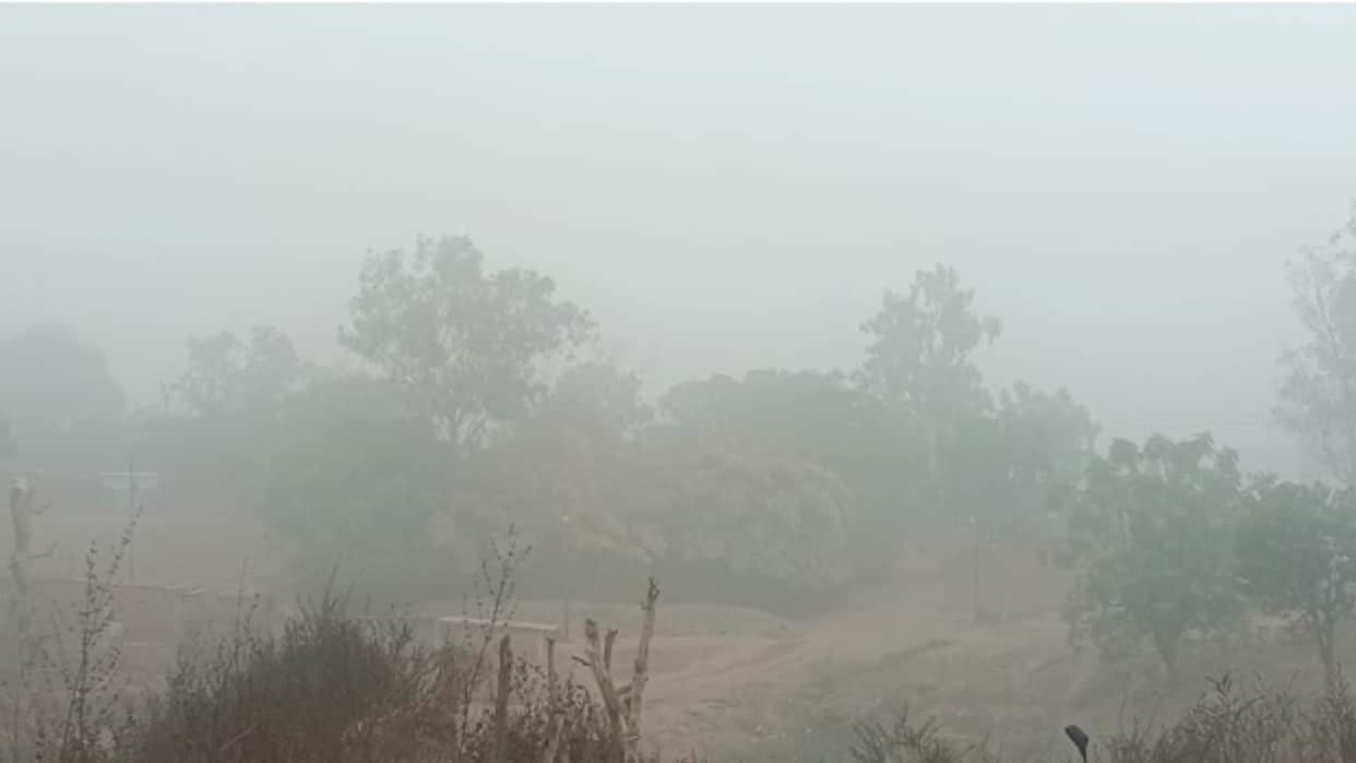 MP Weather Bone-chilling cold in Madhya Pradesh 0.2 degree temperature recorded in Nagaon