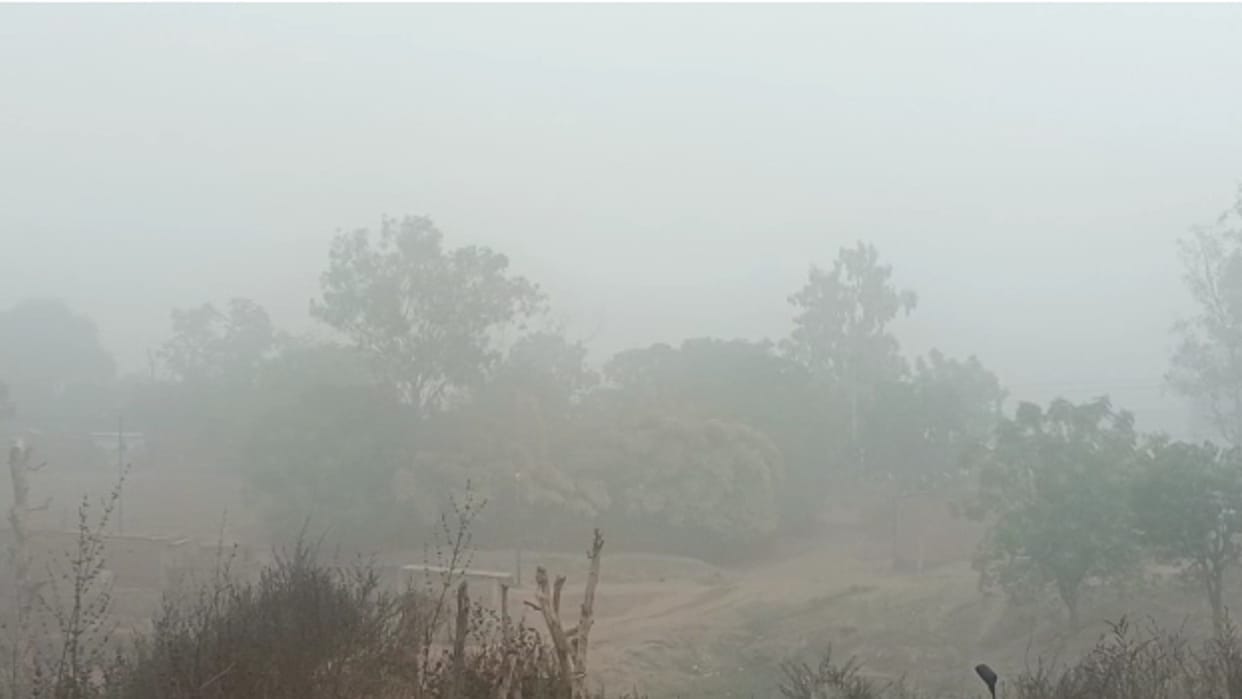 MP Weather Bone-chilling cold in Madhya Pradesh 0.2 degree temperature recorded in Nagaon