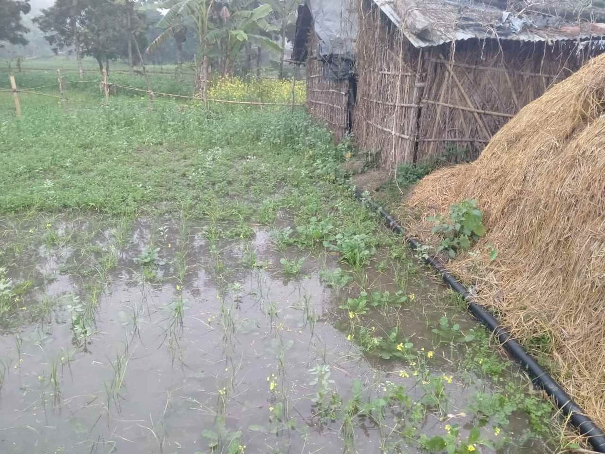 Canal water reached the village due to minor breakdown