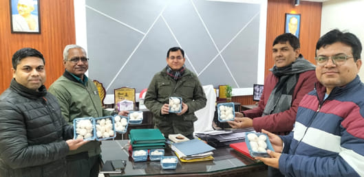Increase the cultivation of mushrooms by rural youth