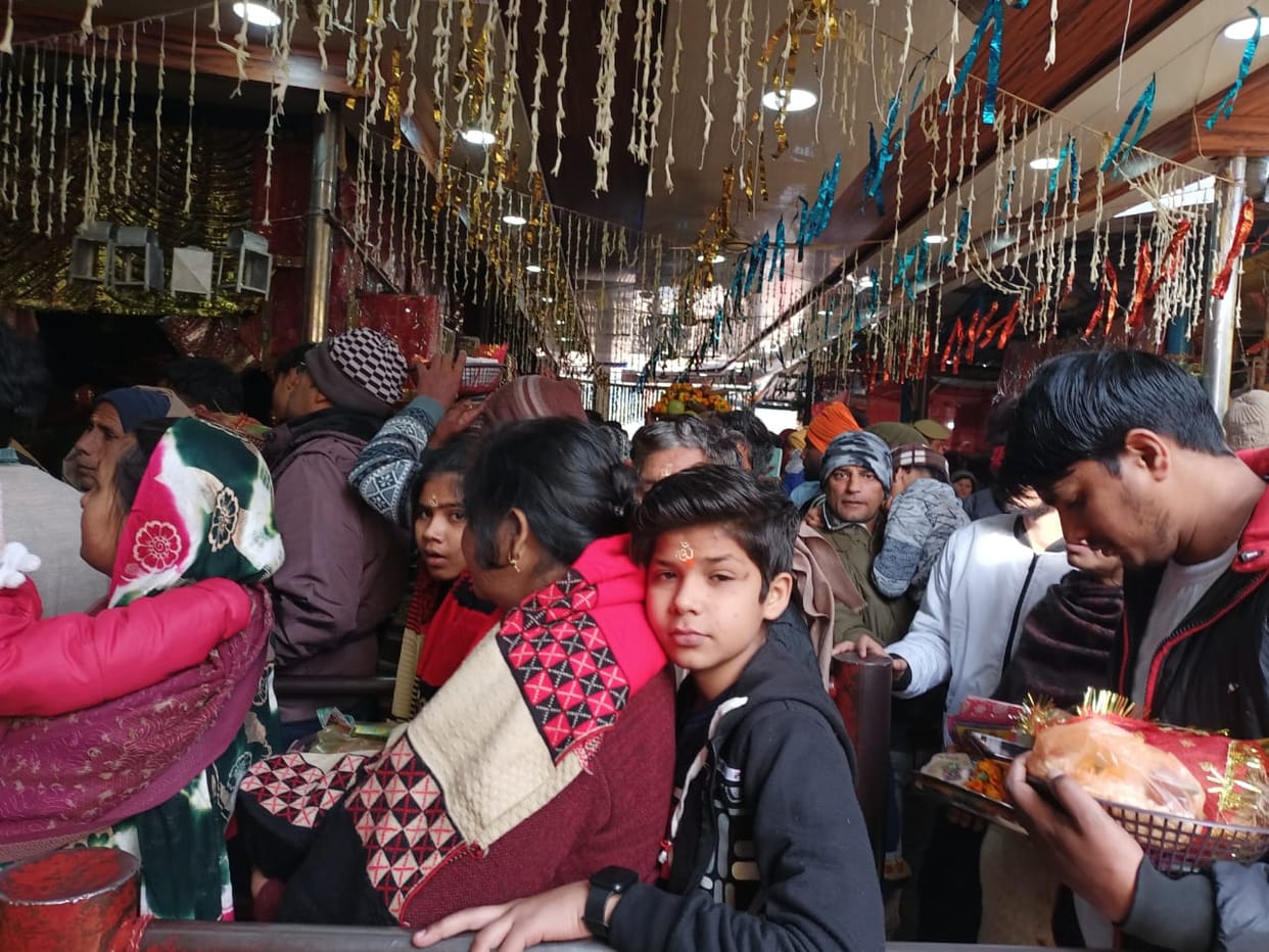 56 bhog and 36 dishes offered to mother on Shakambhari Jayanti