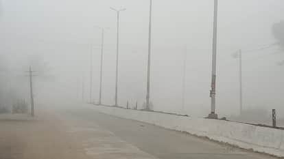 Weather changed relief from severe cold chances of rain in Gwalior-Chambal division