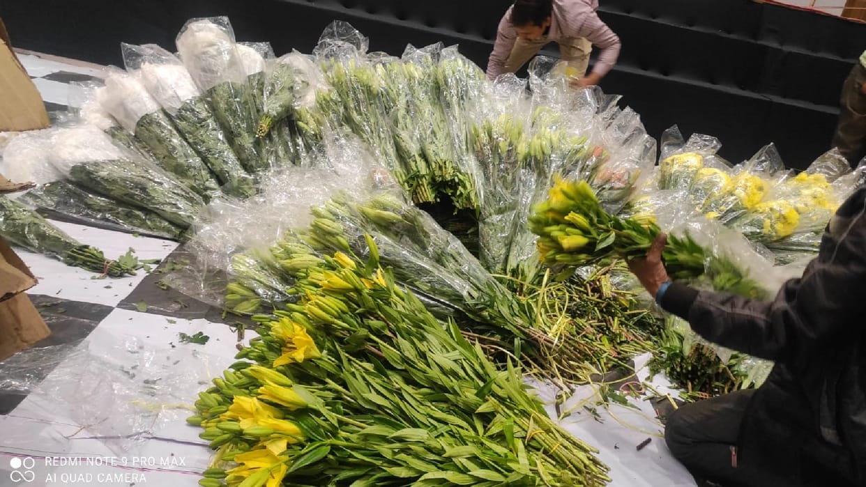 The conference venue will be fragrant with thirty types of flowers, flowers will also be brought from abroad