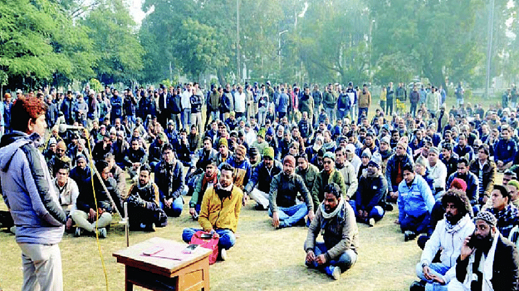 एएमयू के अस्थायी कर्मचारी