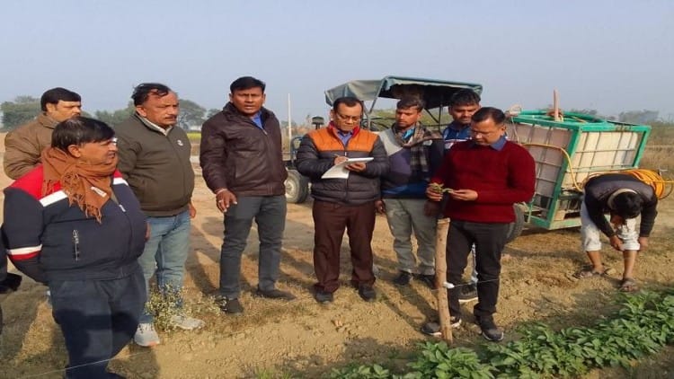 की फसल का निरीक्षण करते हुए अपर कृषि निदेशक टीपी चौधरी