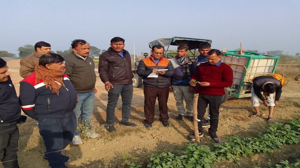 Advisory issued for potato crop advice for farmers
