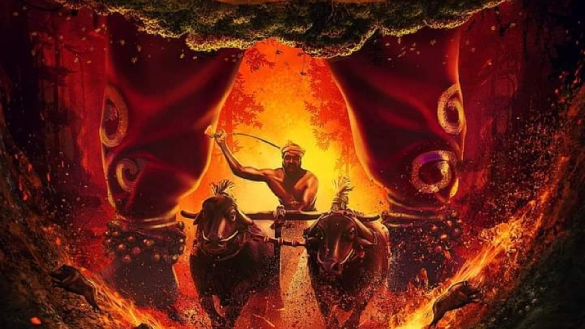 Bollywood 6 Low Budget Movies break all the records at box office Kantara Paan Singh Tomar Sairat Queen