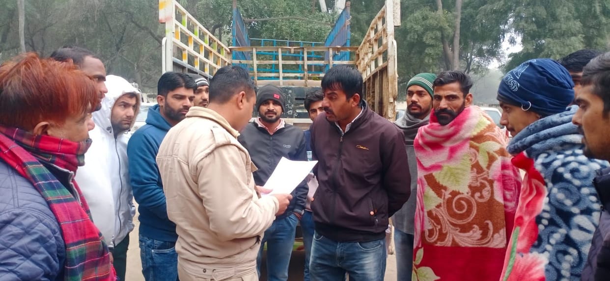 Two cows injured after pickup overturned,  smuggler arrested