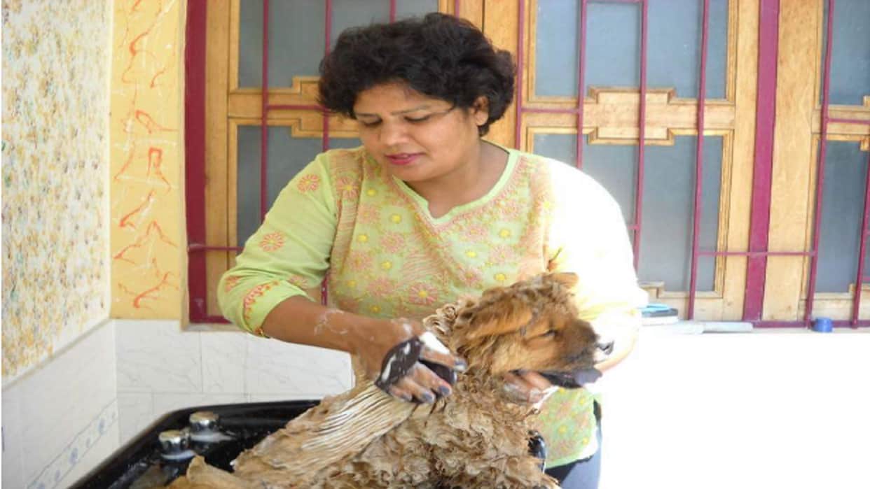 RLD district president Sarvesh Pundir life became happy with the love of birds after death of his son