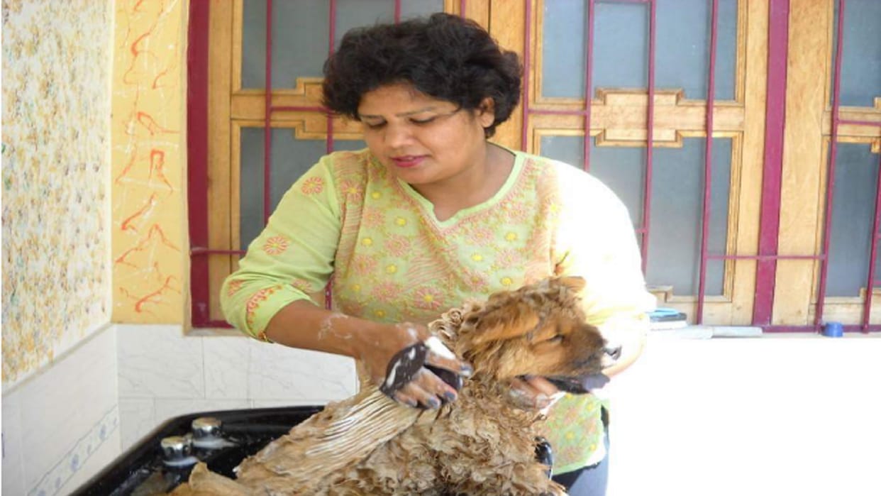 RLD district president Sarvesh Pundir life became happy with the love of birds after death of his son