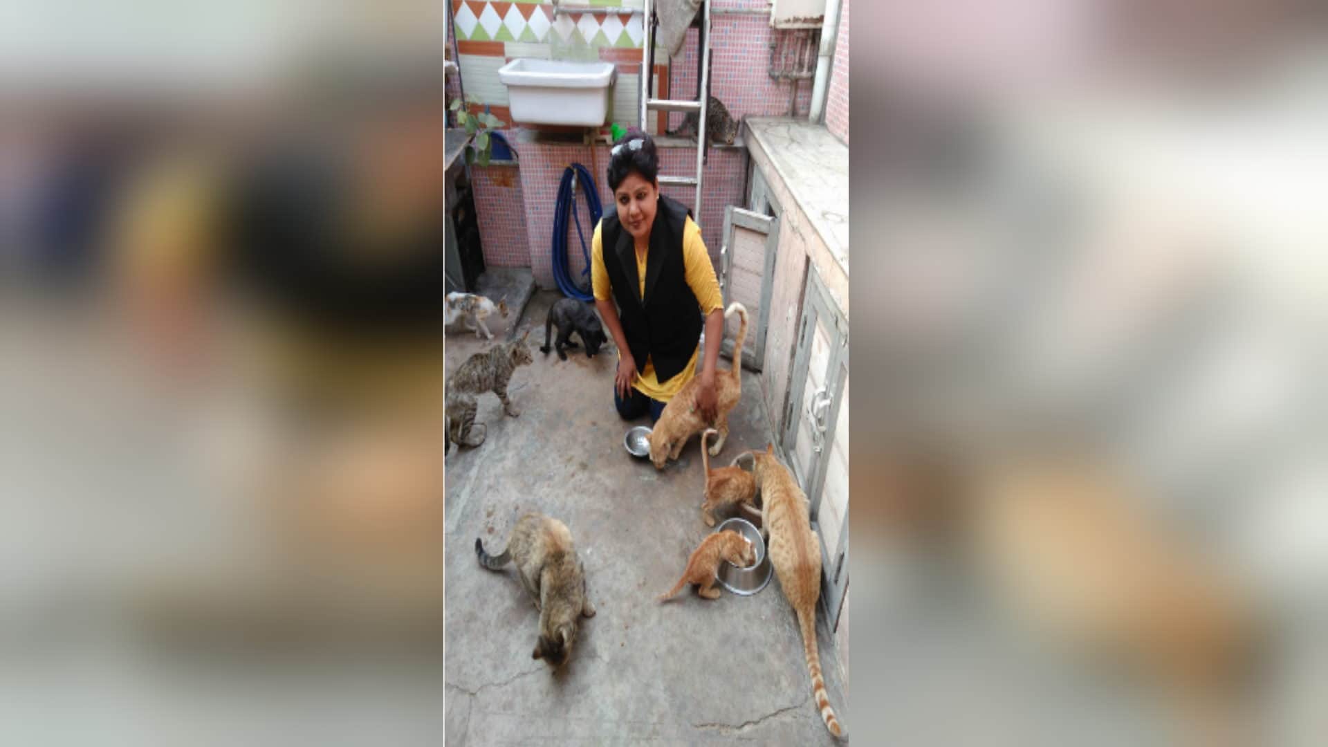 RLD district president Sarvesh Pundir life became happy with the love of birds after death of his son