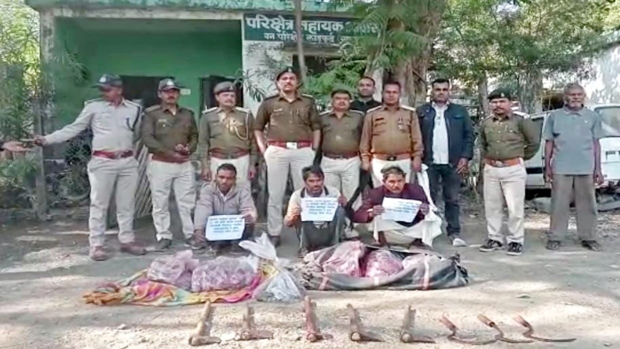 Three arrested for killing Nilgai