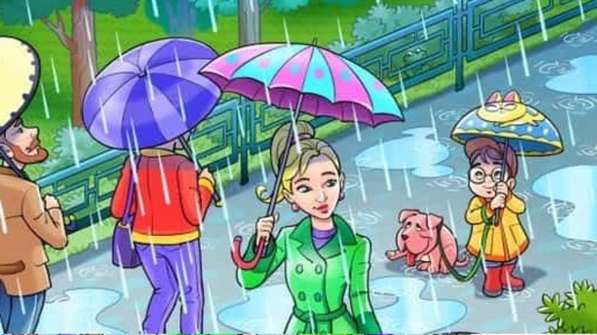 Optical Illusion: Spot a Hidden Frog in the Park Within 14 Seconds Viral Puzzle IQ Test Photo
