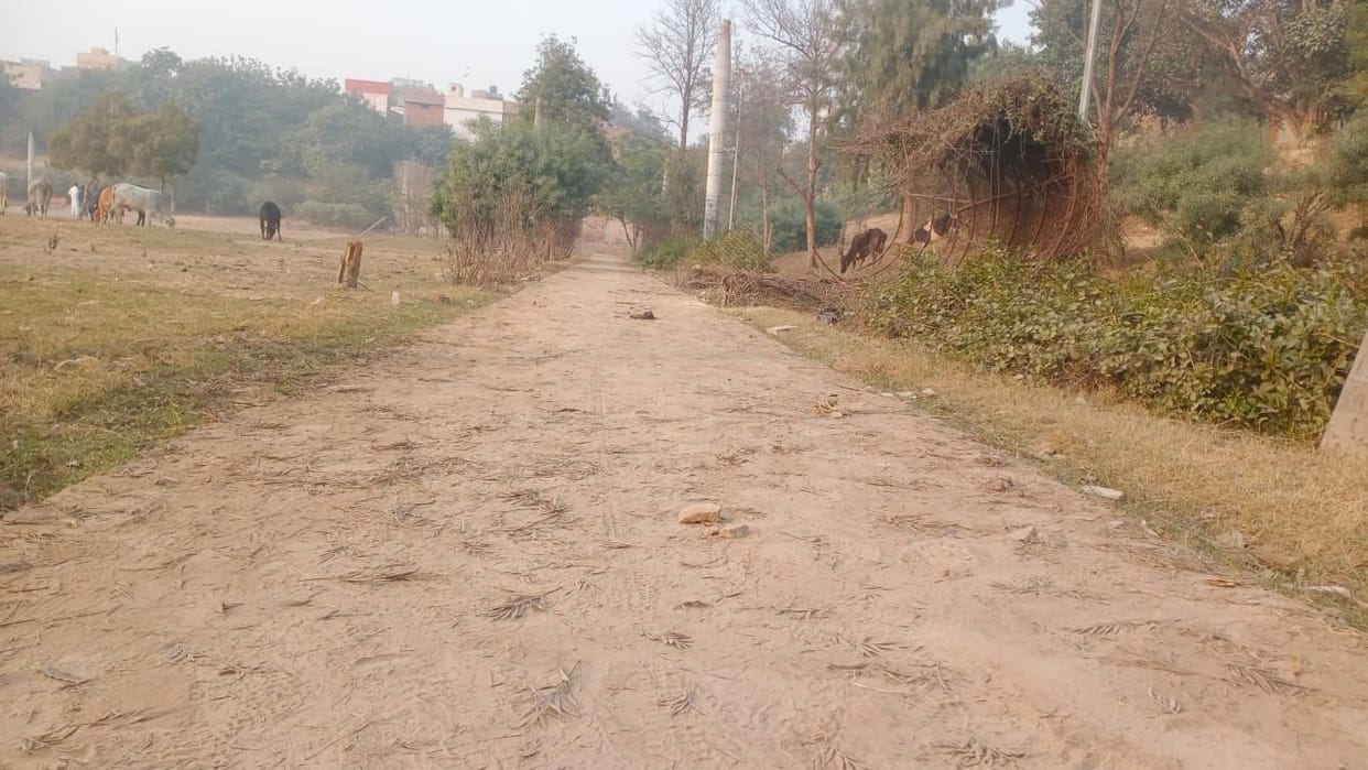 Good news: Bhadra Park's face will change, improvement will be done with 65 lakhs