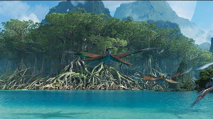 Avatar The Way Of Water: ‘अवतार 2’ ने भारत में लहराया सबसे ऊंचा परचम, बनी हॉलीवुड की मूवी नंबर वन अवतार द वे ऑफ वॉटर