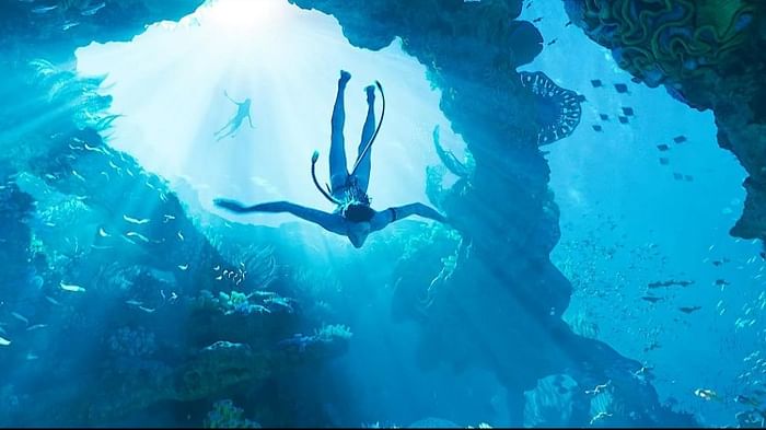 Avatar The Way Of Water: ‘अवतार 2’ ने भारत में लहराया सबसे ऊंचा परचम, बनी हॉलीवुड की मूवी नंबर वन अवतार द वे ऑफ वॉटर