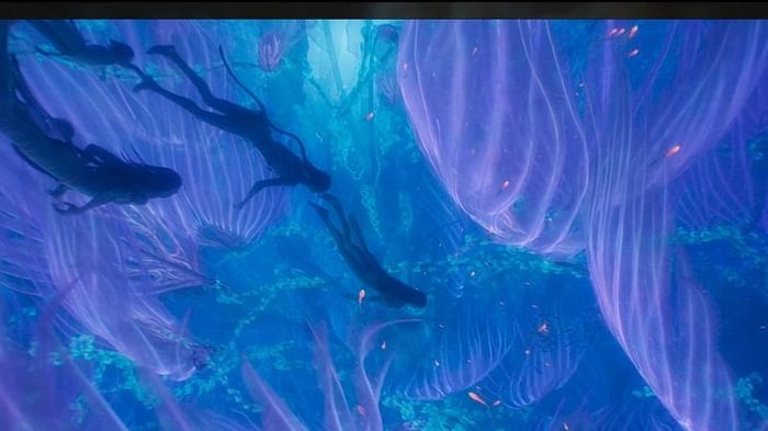 Avatar The Way Of Water: ‘अवतार 2’ ने भारत में लहराया सबसे ऊंचा परचम, बनी हॉलीवुड की मूवी नंबर वन अवतार द वे ऑफ वॉटर