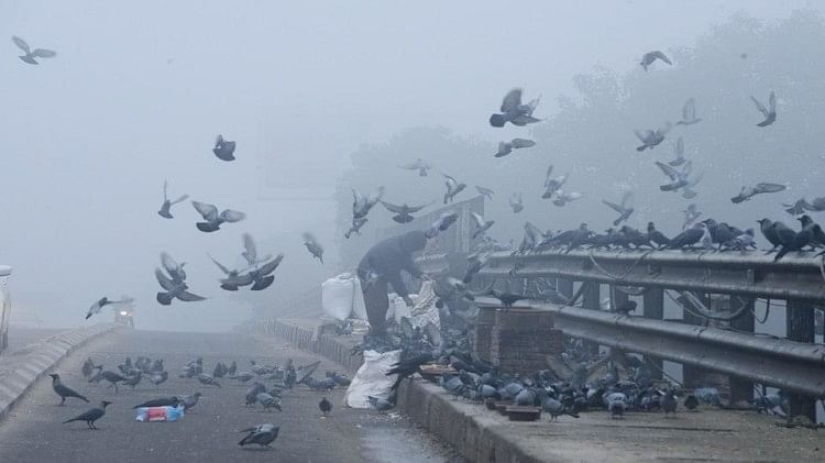 Winter havoc continues in Delhi