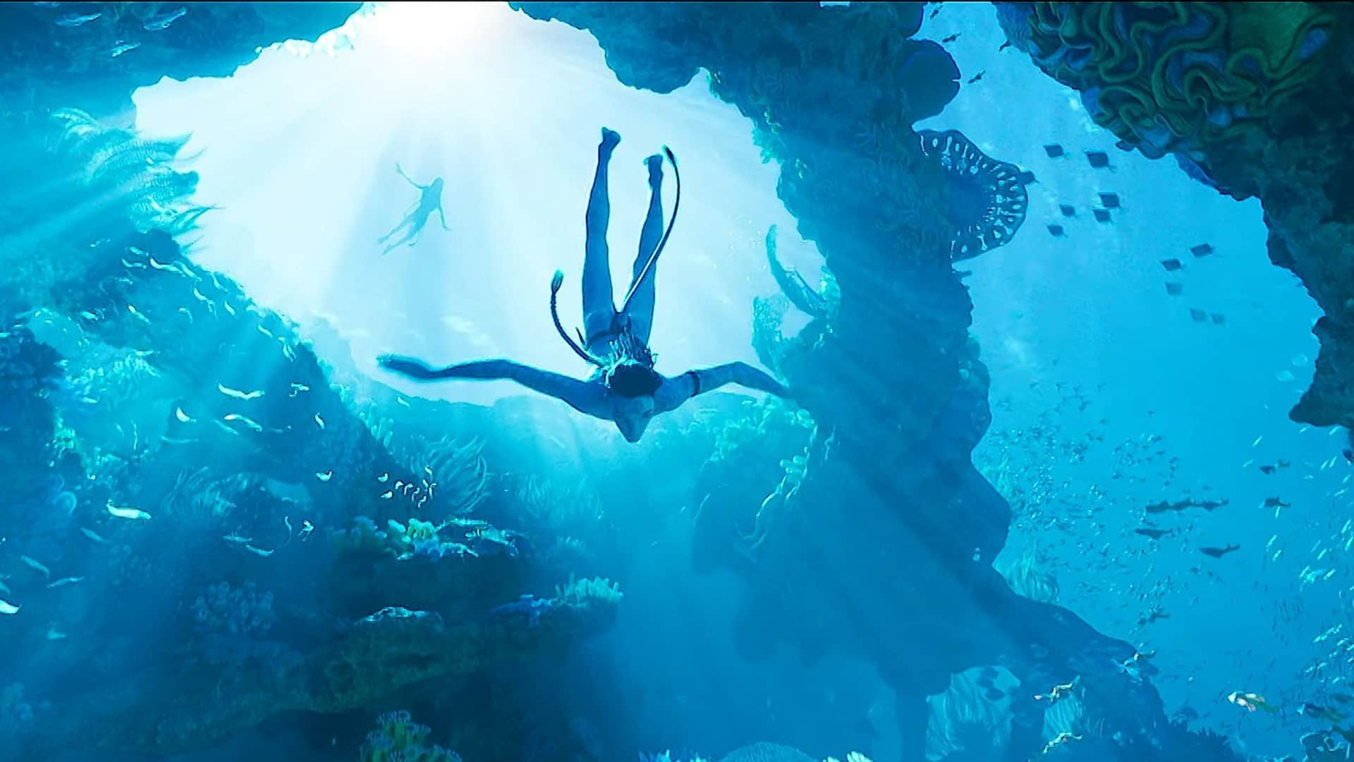 Avatar The Way Of Water becomes top grosser Hollywood film in india previous record was with Avengers Endgame