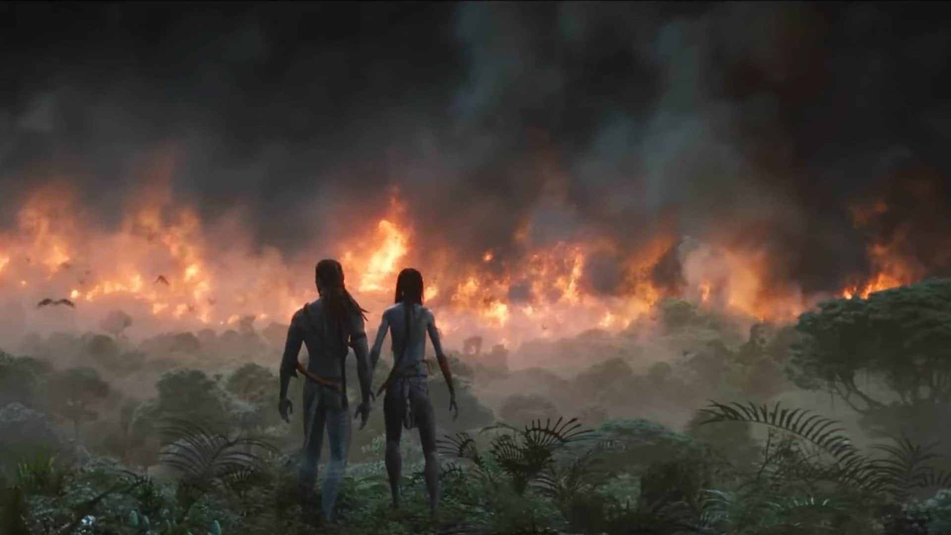 Avatar The Way Of Water becomes top grosser Hollywood film in india previous record was with Avengers Endgame