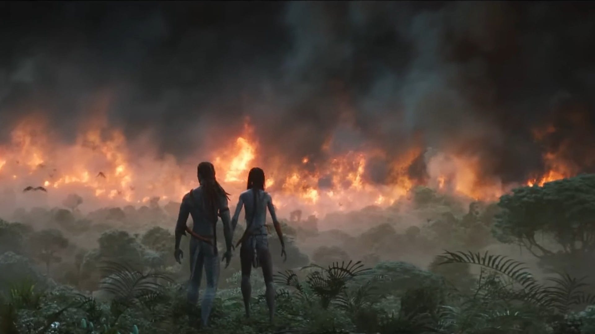 Avatar The Way Of Water becomes top grosser Hollywood film in india previous record was with Avengers Endgame