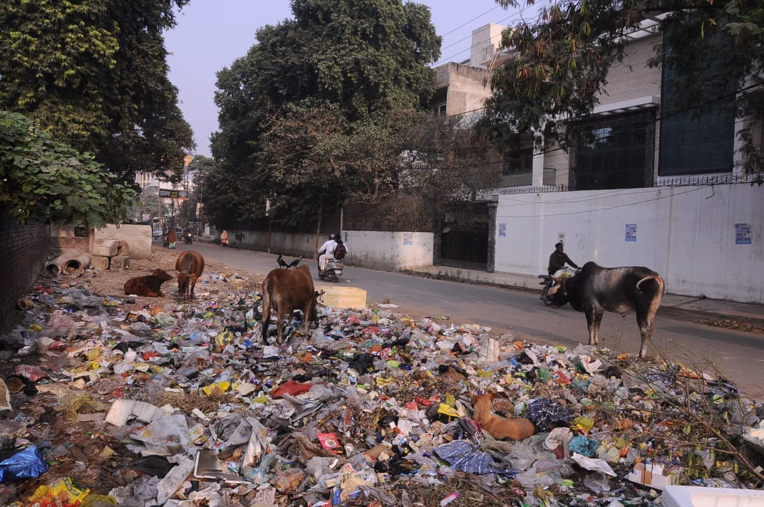 Selfie point of Defense Colony again became a garbage dump in Kanpur