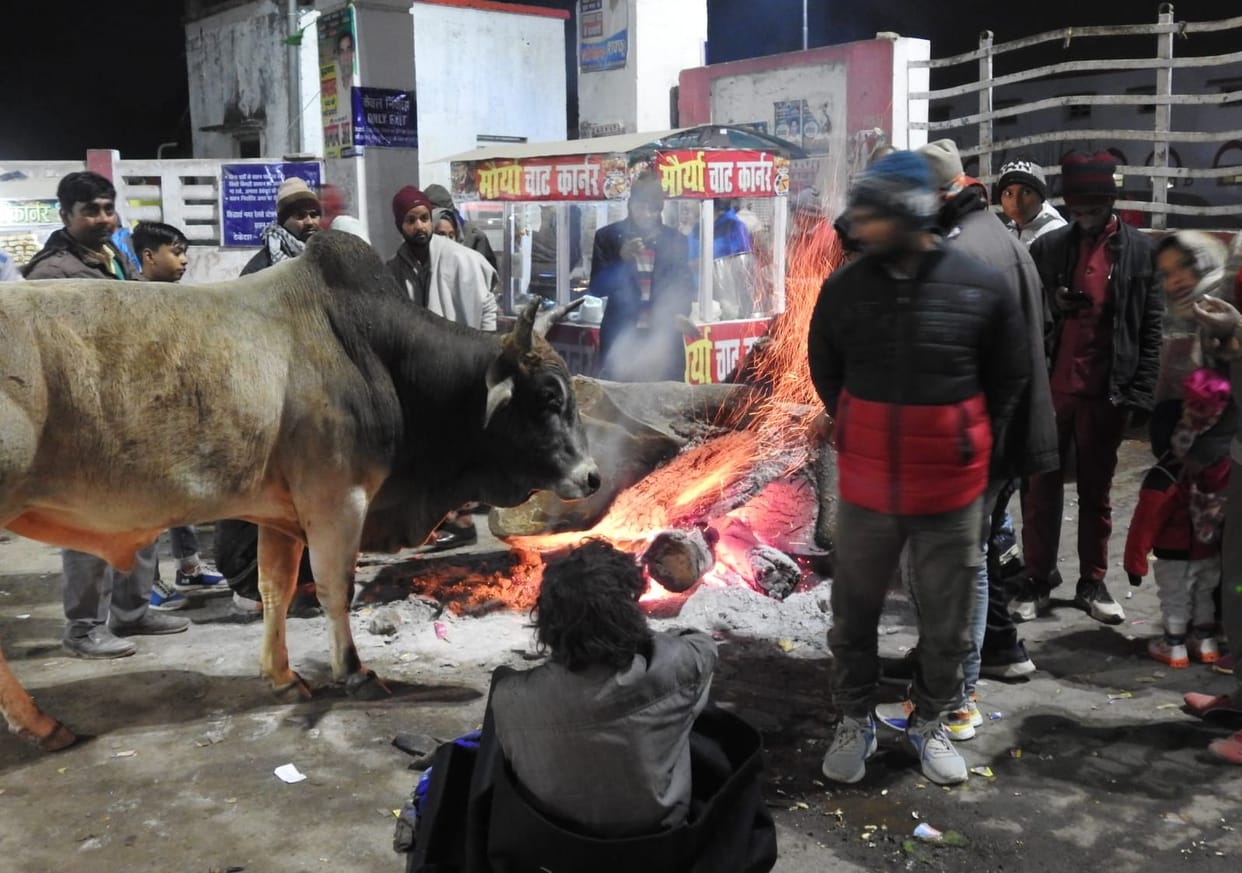 Mercury falling every day, havoc of cold increased