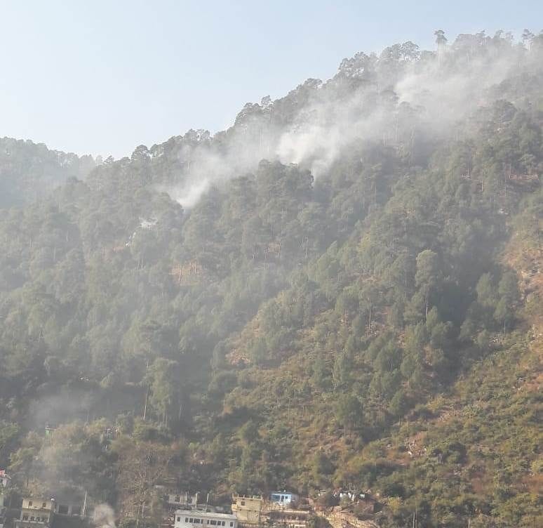 Fire broke out in the pine forest of And village