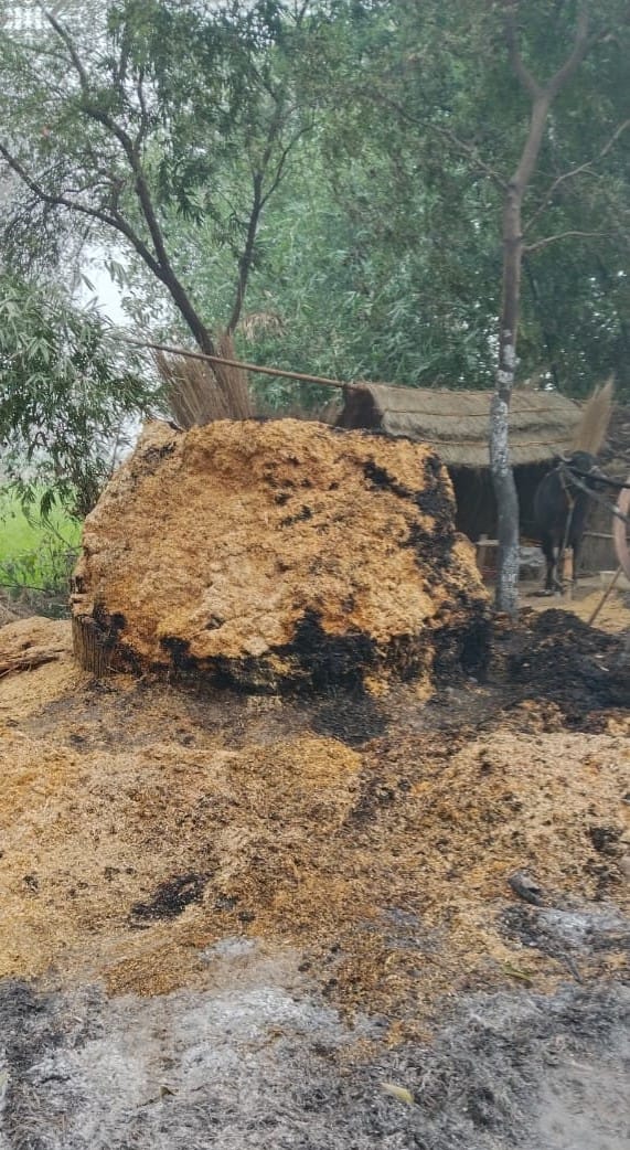 Two huts turned to ashes due to the spark of bonfire