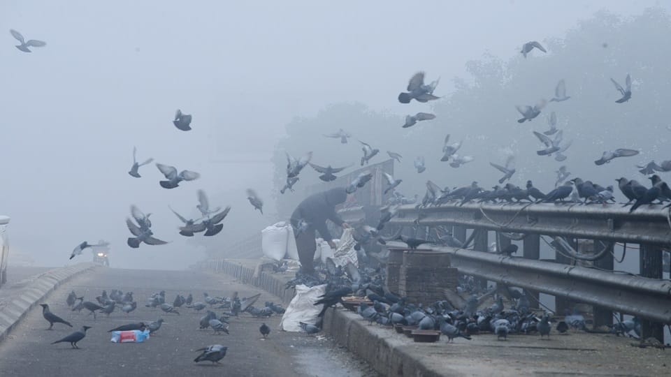 Delhi Weather News Relief from cold wave for three days temperature will drop from January 14