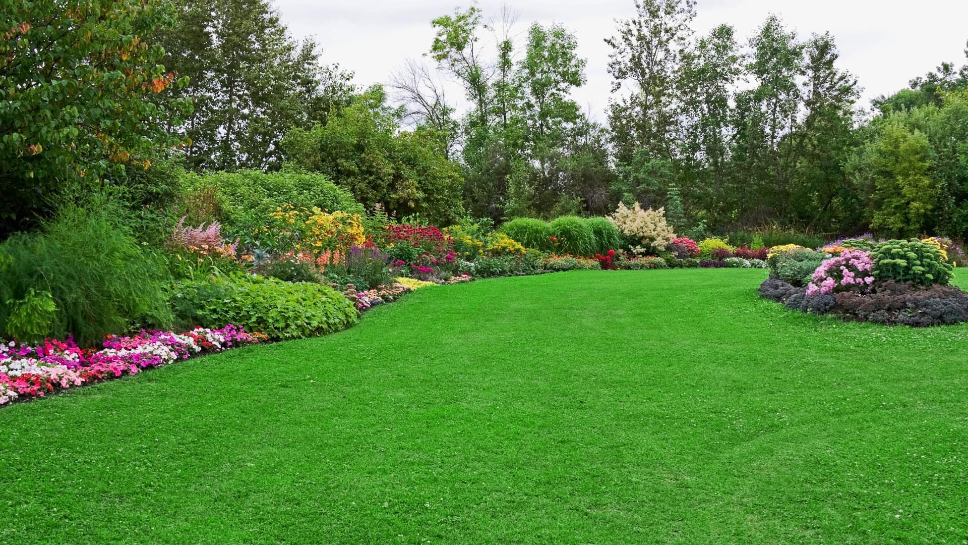 World’s Most Poisonous Garden Know Interesting Facts About Dangerous Garden in Hindi