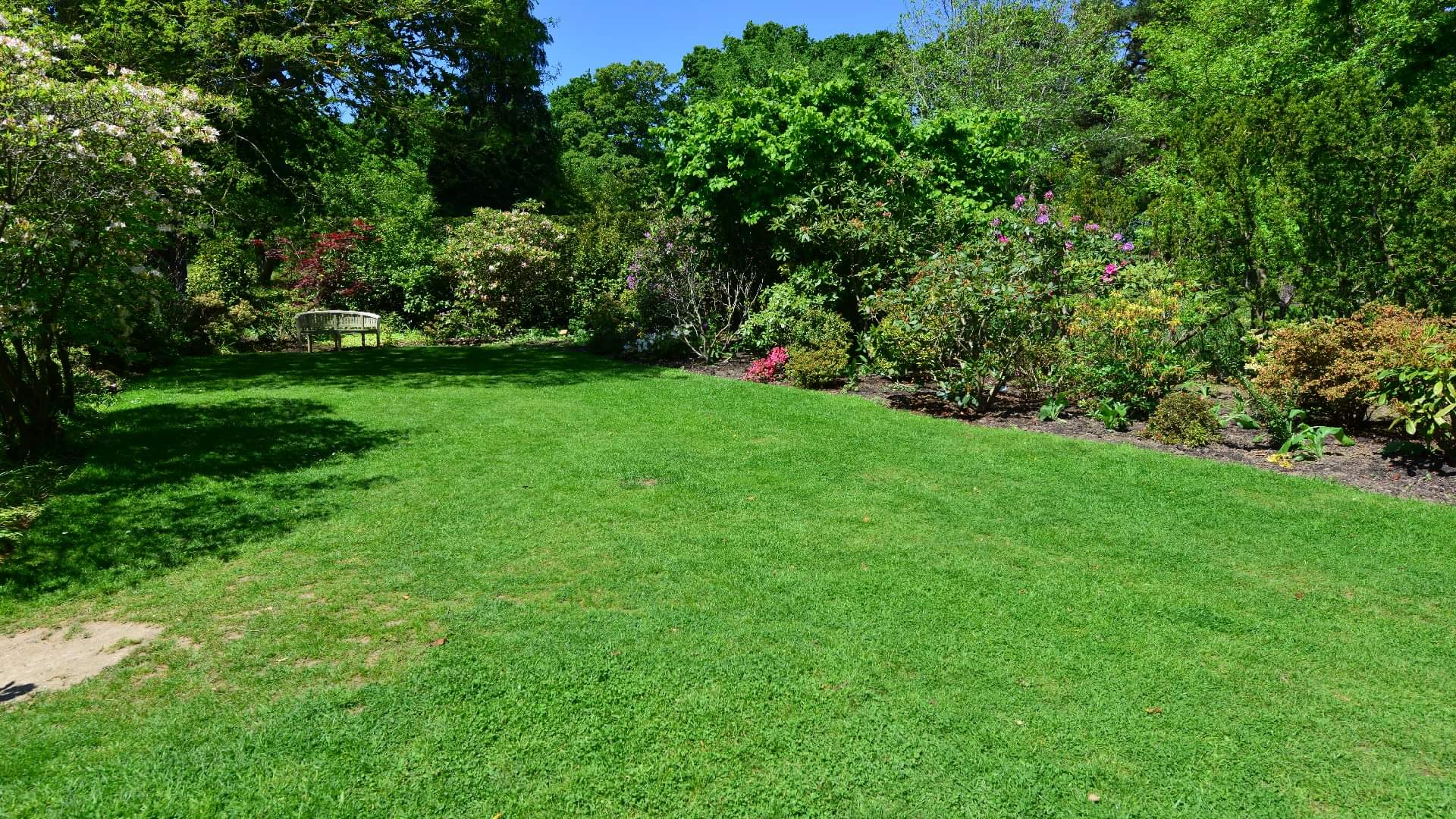 World’s Most Poisonous Garden Know Interesting Facts About Dangerous Garden in Hindi