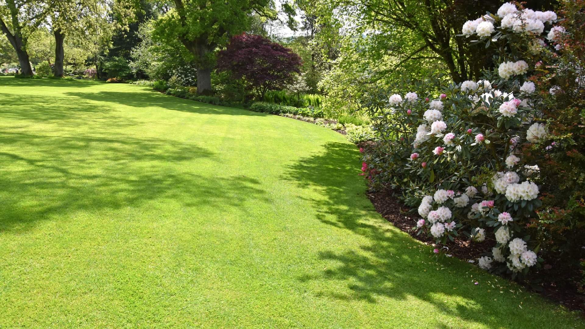 World’s Most Poisonous Garden Know Interesting Facts About Dangerous Garden in Hindi