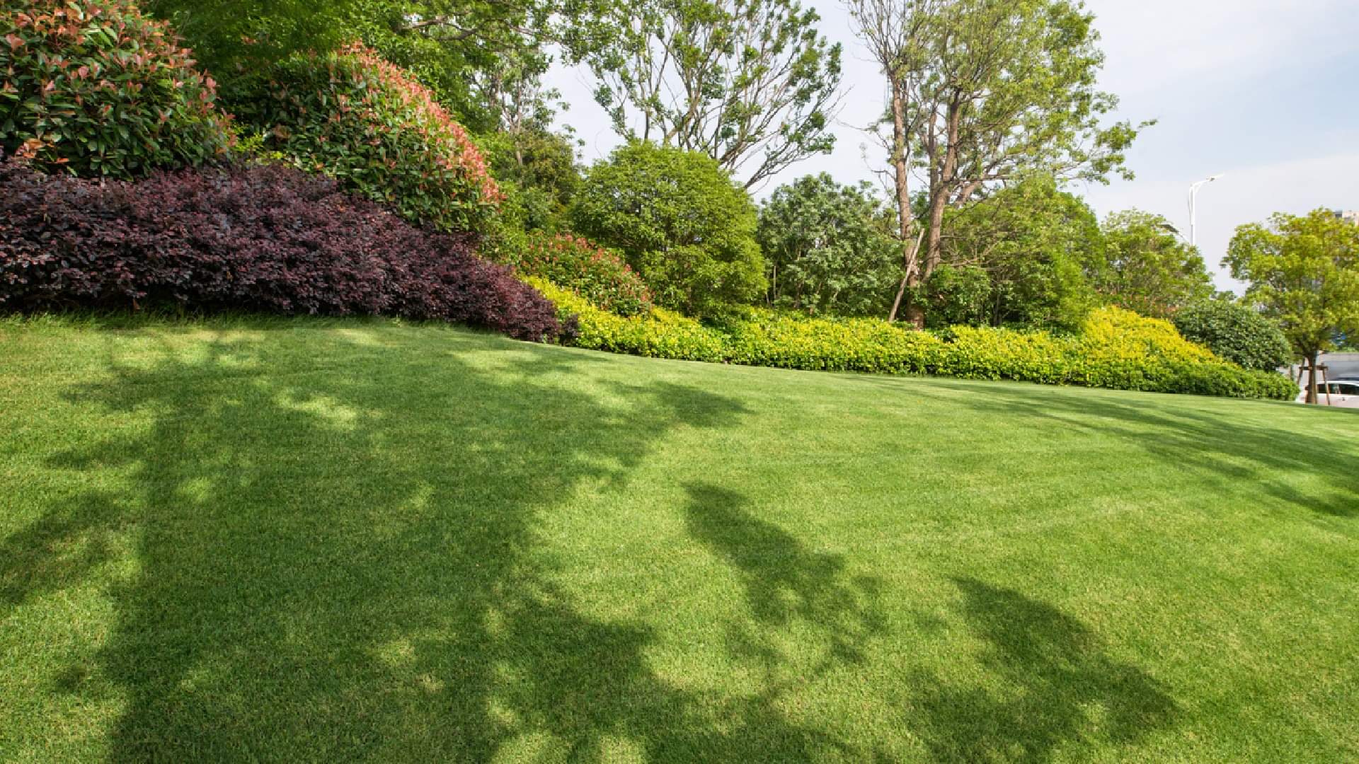 World’s Most Poisonous Garden Know Interesting Facts About Dangerous Garden in Hindi