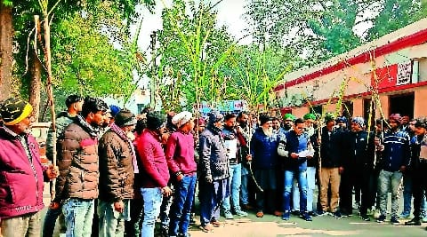 In the collectorate with sugarcane in hand