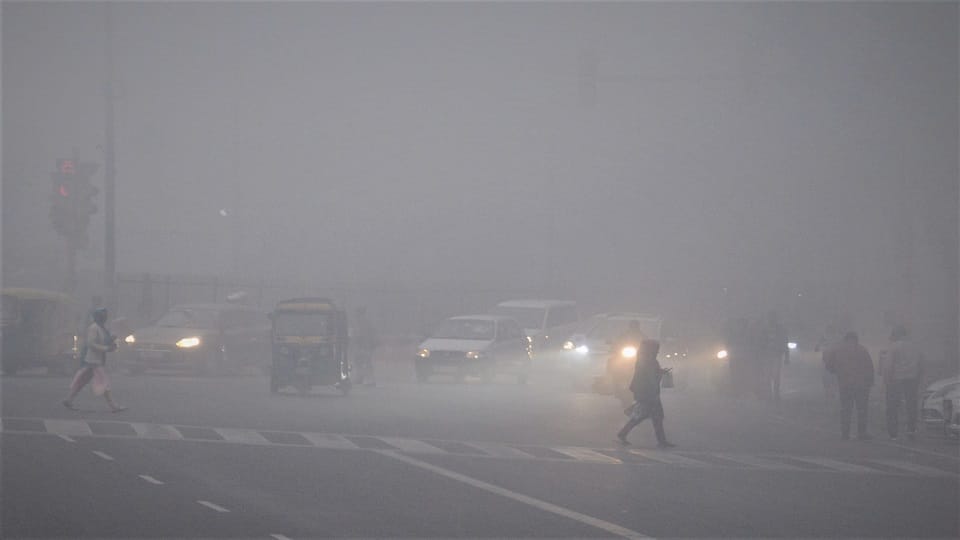 Delhi Weather News Fifth day of cold wave NCR wrapped in thick fog sheet