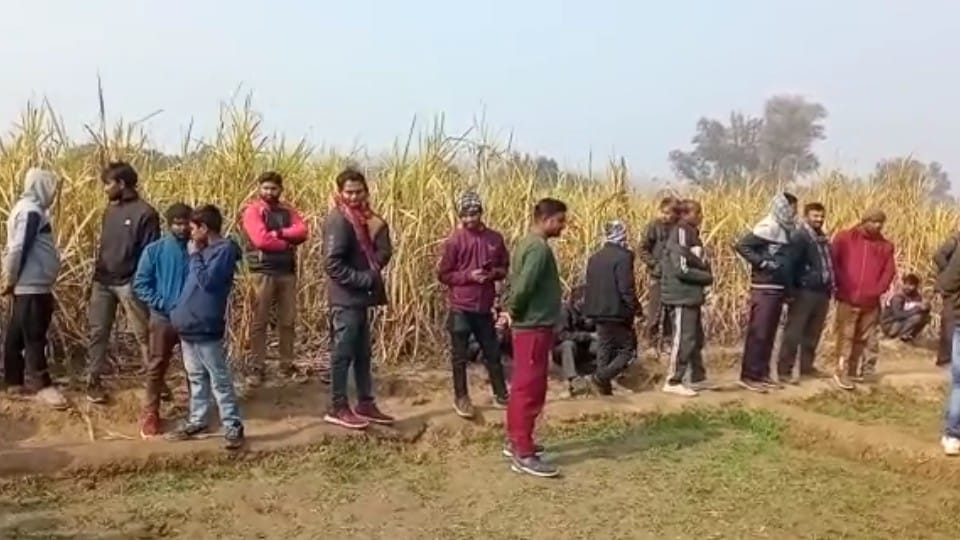 tiger attacked and killed the mason 100 meters before the house