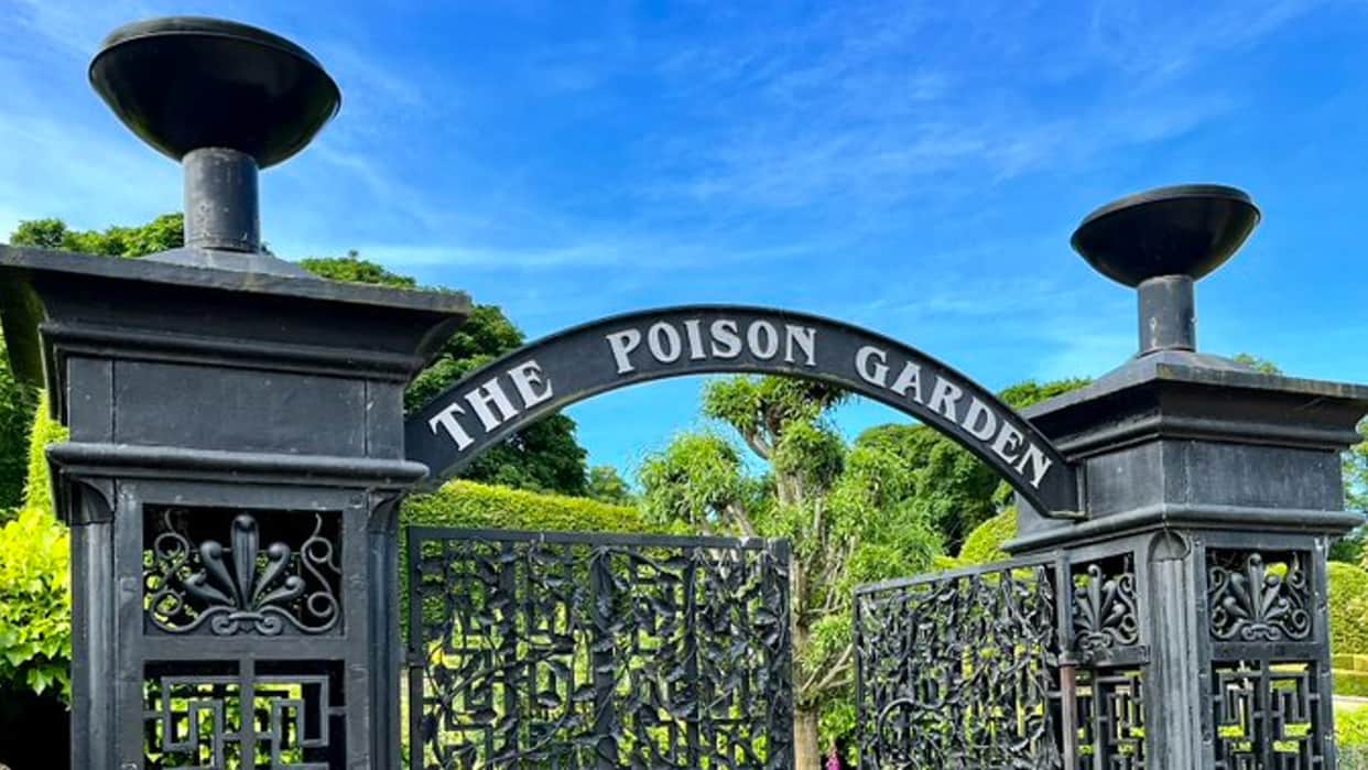 World’s Most Poisonous Garden Know Interesting Facts About Dangerous Garden in Hindi