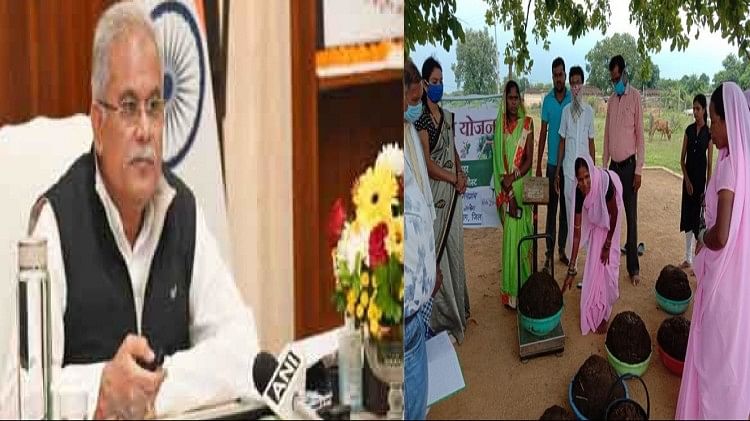 गोधन न्याय योजना : किसानों की बल्ले-बल्ले, सीएम भूपेश ने हितग्राहियों के खाते में डाले 7 करोड़ 5 लाख रुपए गोधन न्याय योजना : किसानों की बल्ले-बल्ले, सीएम भूपेश ने हितग्राहियों के खाते में डाले 7 करोड़ 5 लाख रुपए